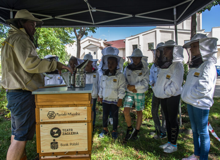 Grupa dzieci w białych kostiumach pszczelarskich ogląda ul z miodem.